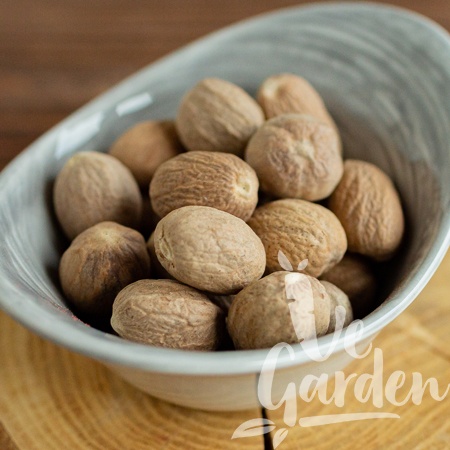 Мускатный орех фото