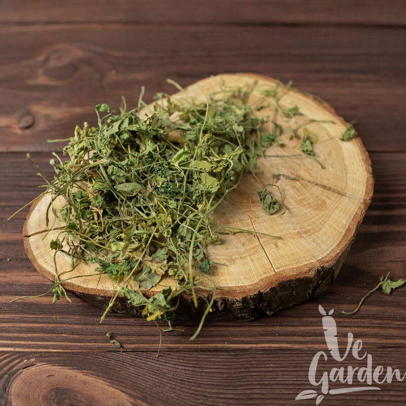 Петрушка сушеная фото