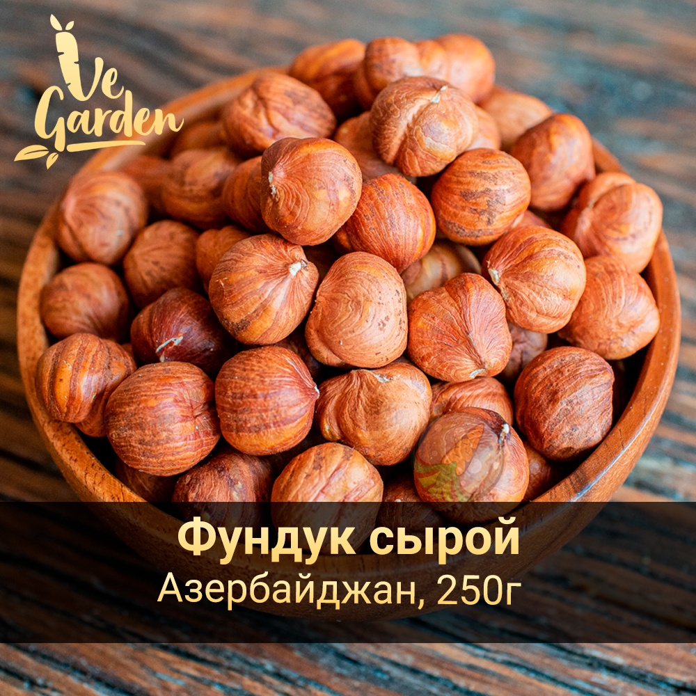 Фундук свежий фото