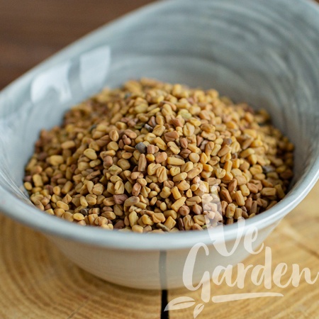 Семена пажитника фото