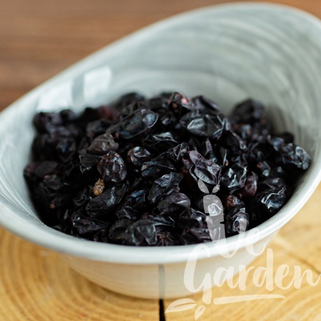 Барбарис фото