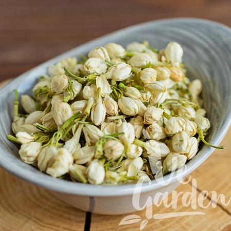 Жасмин бутон фото