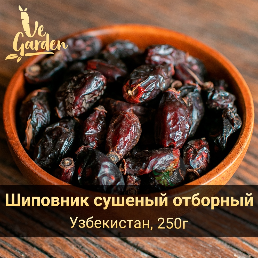 Шиповник фото